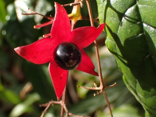 P9159950a.jpg